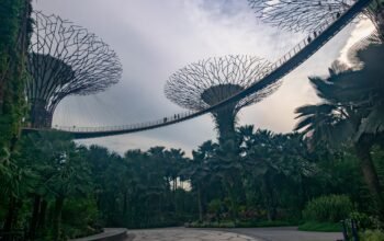 a circular walkway in the middle of a park