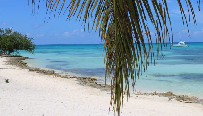 Partai Politik yang Ada di Amerika