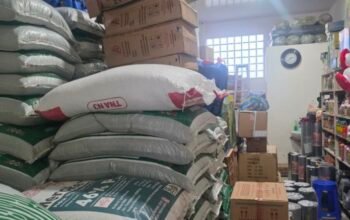 H. Dafrionis: Pupuk Bersubsidi Wajib Sampai ke Petani Kecil Tanpa Kendala