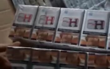 Pelabuhan Punggur Kecolongan? Rokok Ilegal Rp272 Juta Tinggalkan Korban