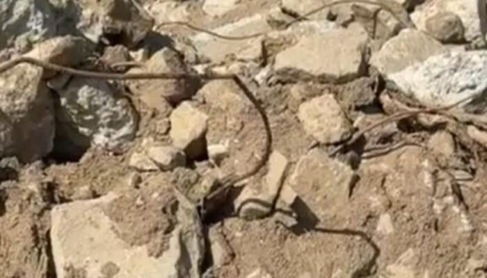 Ancaman Limbah Beracun di Perbatasan RI–Singapura, Reklamasi PT KMS Jadi Sorotan Keras