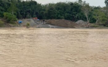 Ekskavator Bebas Beroperasi, Aktivitas PETI di Dharmasraya Mengganas Lagi